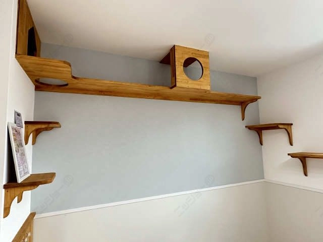 キャットウォーク