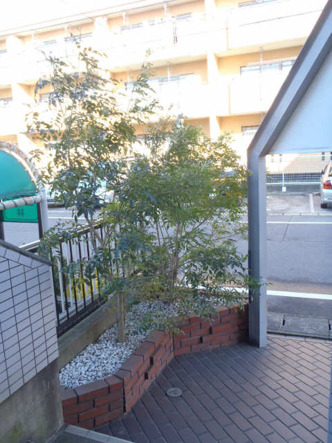 植栽