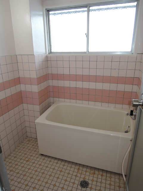 メゾン・ド・タマキ 3階 浴室