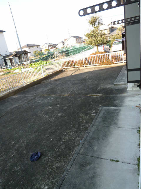 庭
