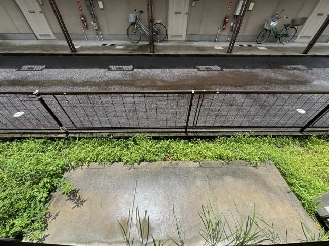 庭