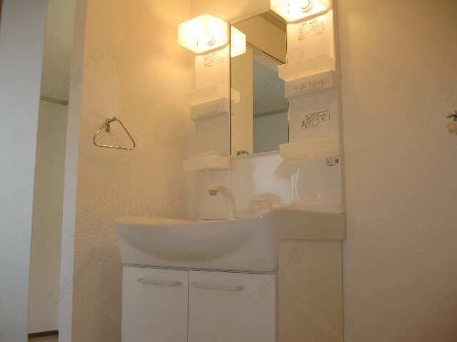 シャンプードレッサー