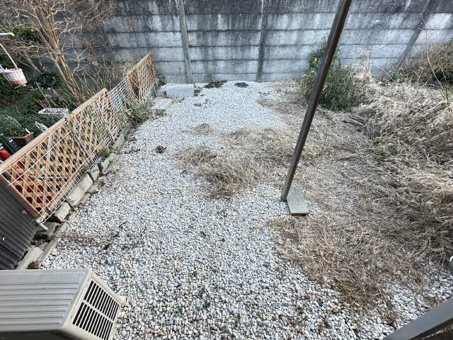 庭