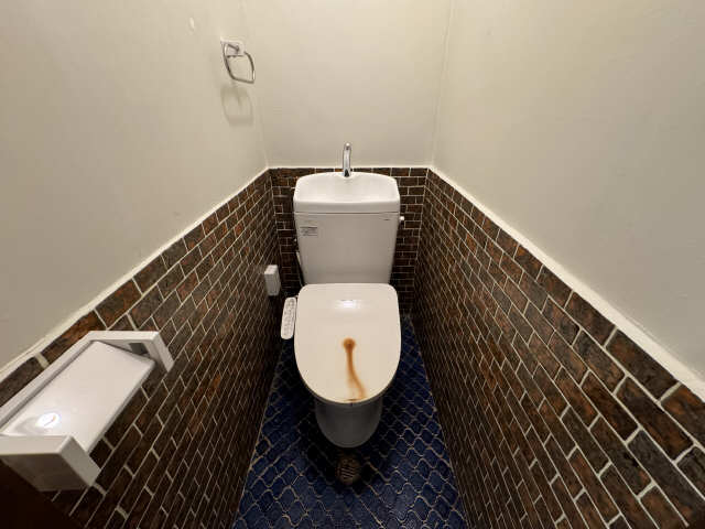晴山コーポラス 1階 WC