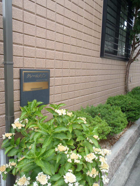 植栽