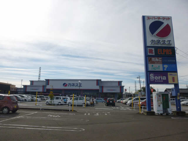 カネスエ