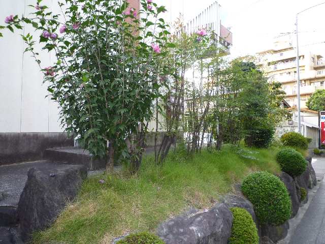 植栽