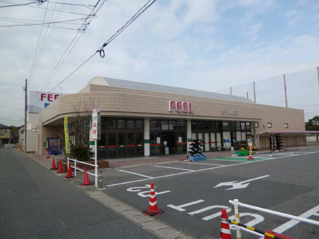スーパーフィール6分