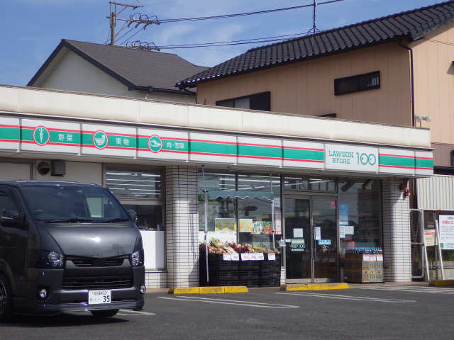 ﾛｰｿﾝｽﾄｱ100