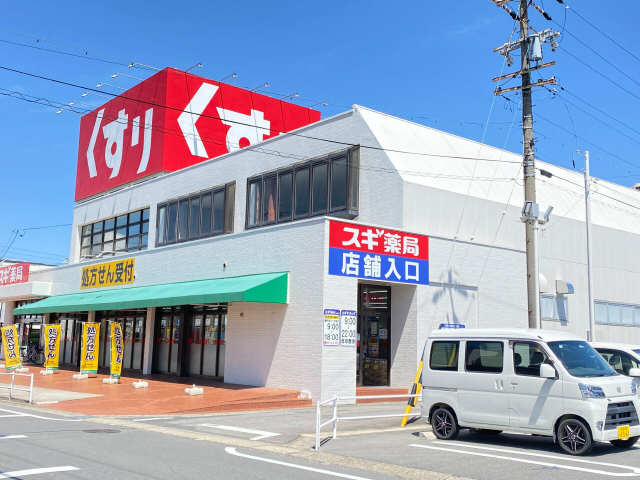 スギ薬局