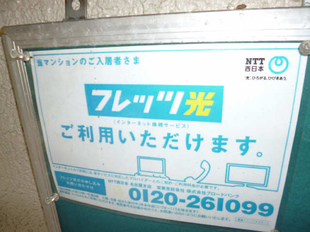 光対応