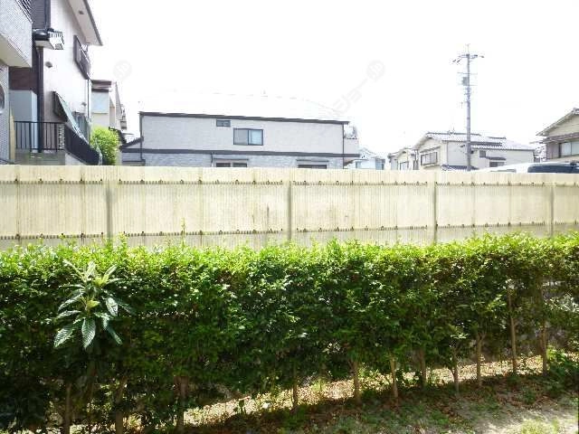 庭
