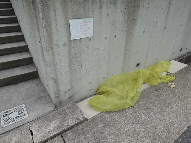 共有部分