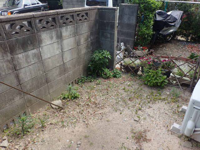 庭
