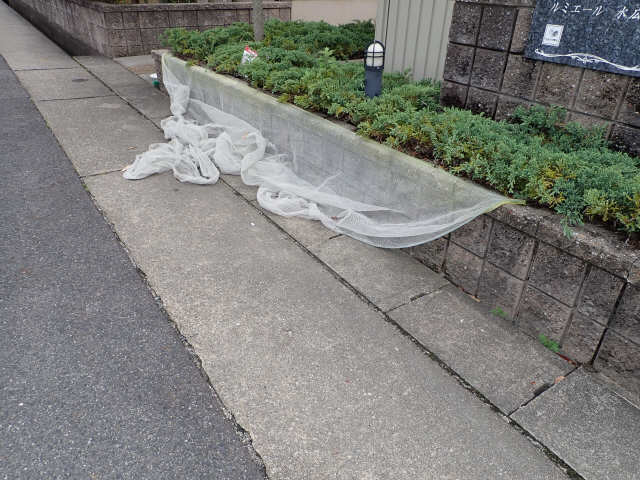 ゴミ置き場