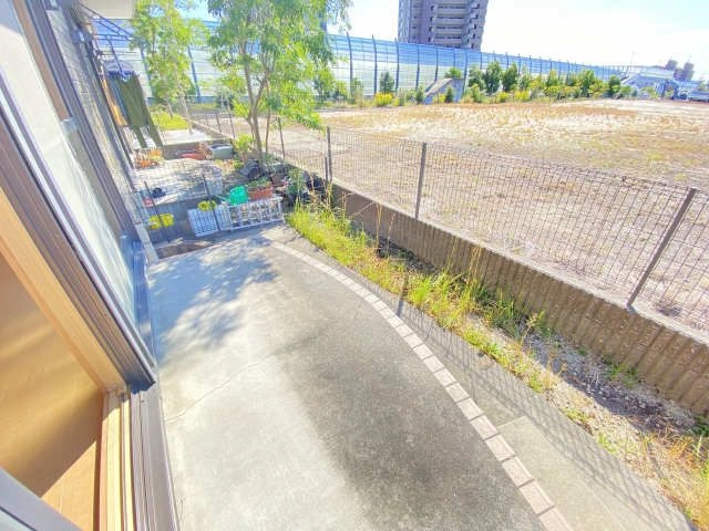 庭
