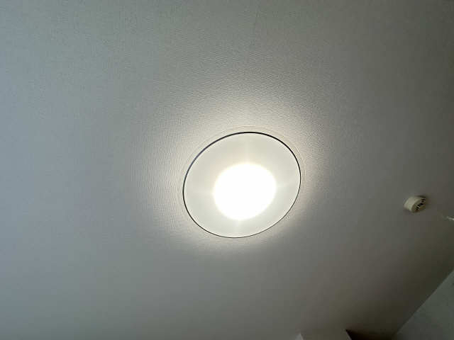照明