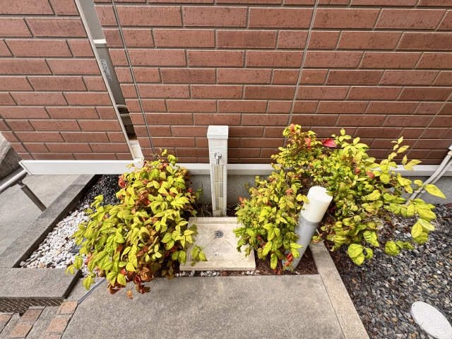 ペット足洗い場