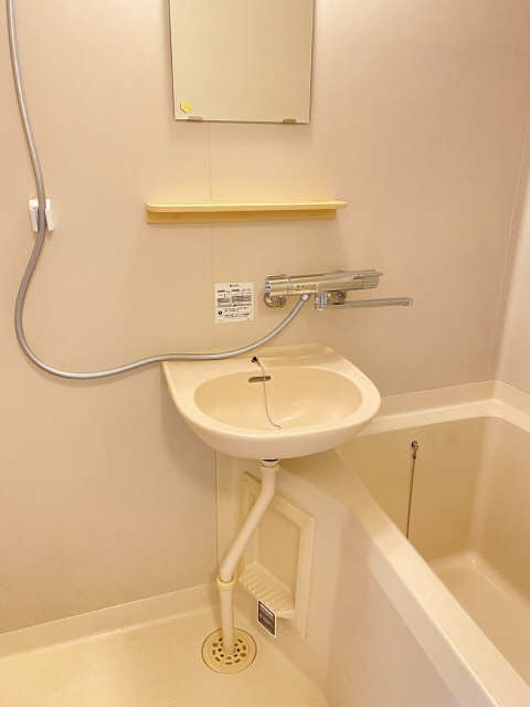 洗面（浴室内）