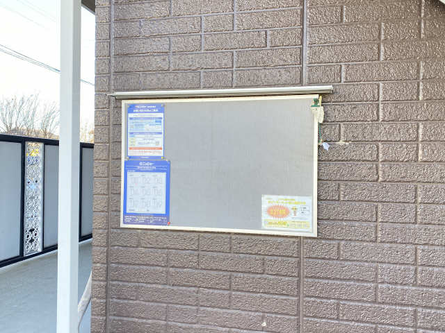 掲示板