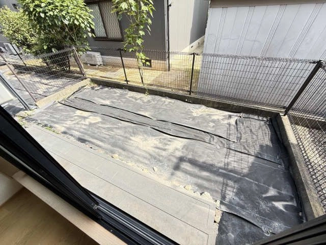 庭