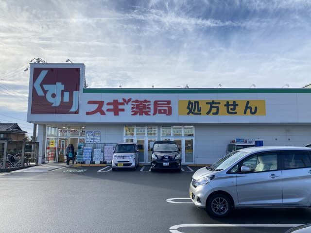 スギ薬局