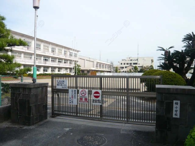 桜小学校