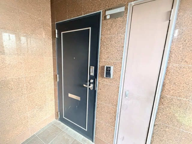 玄  関ドア