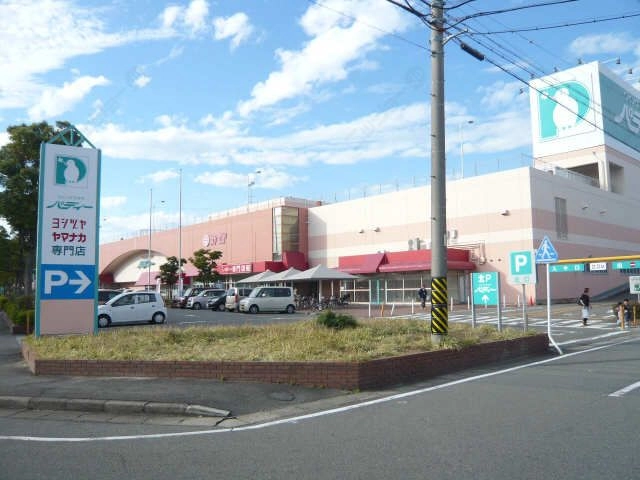 パディー