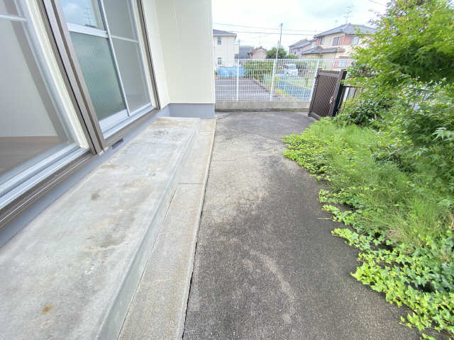 庭