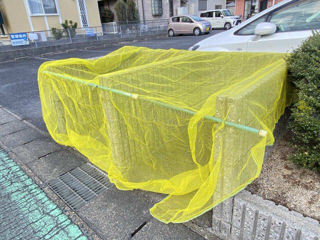 ゴミ集積所