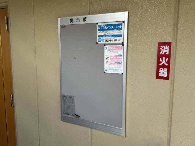 掲示�板