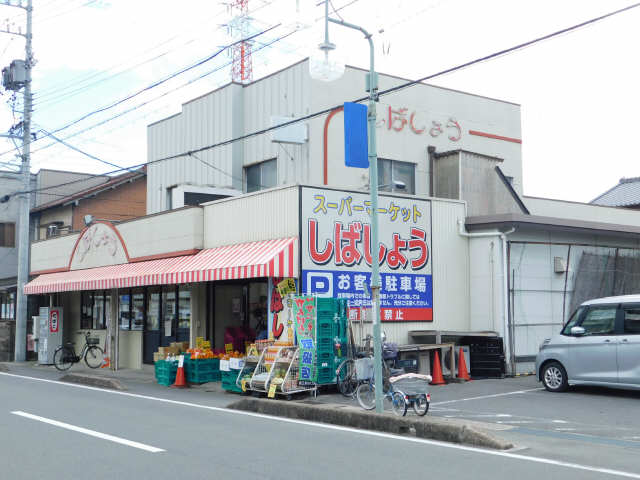 スーパーしばしょう