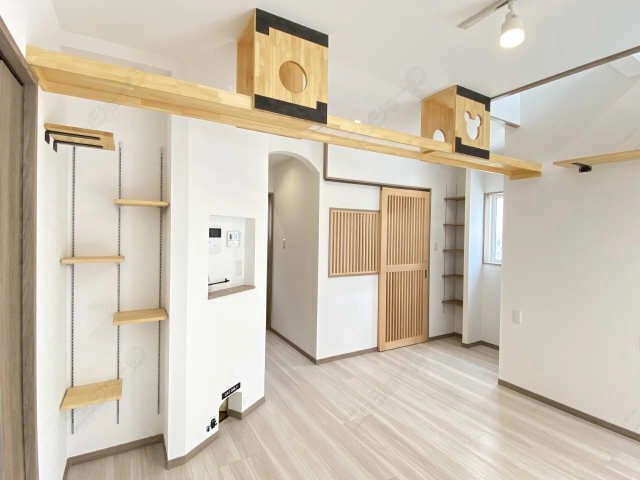 キャットウォーク