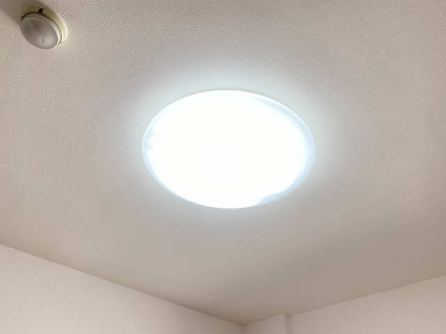 照明