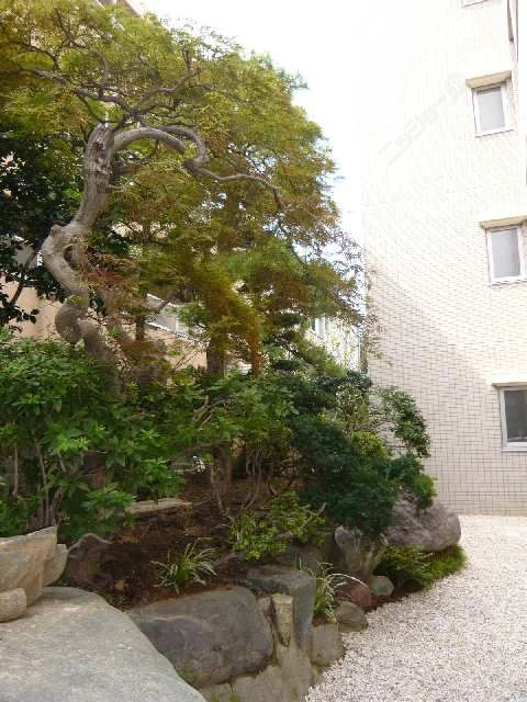 庭園