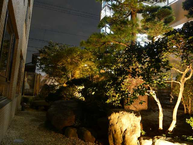 庭園（夜撮）