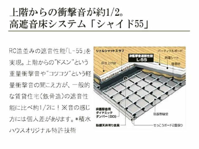 シャイド55