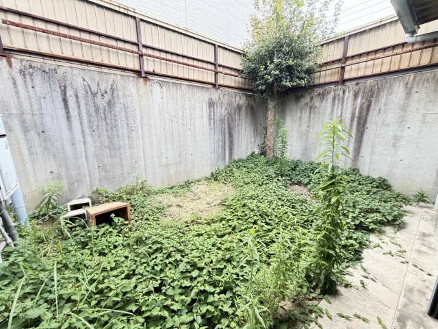 庭