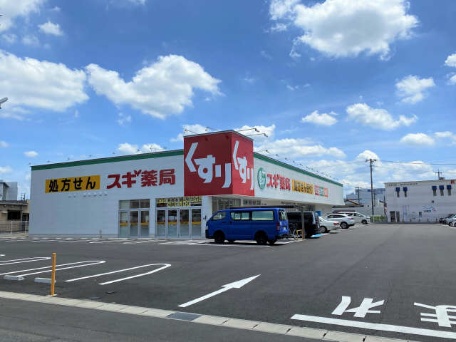スギドラッグ柏森駅南店