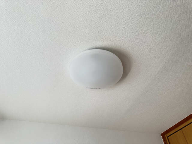 照明