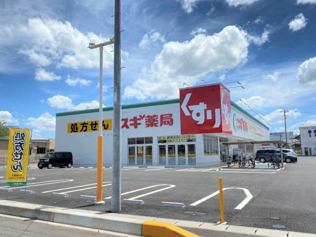 スギ薬局　柏森駅南店