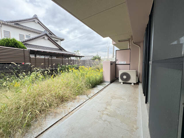 庭