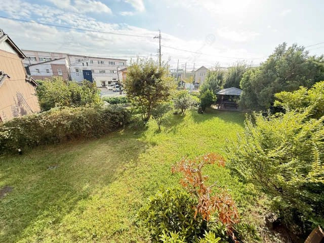 その他(ドックラン）