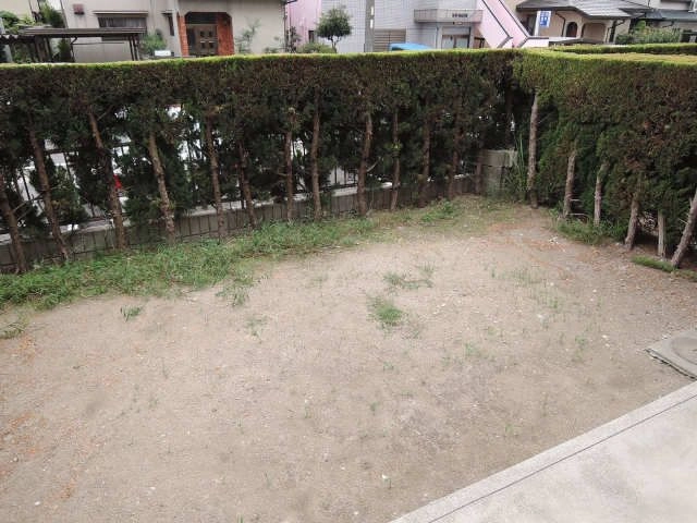 庭