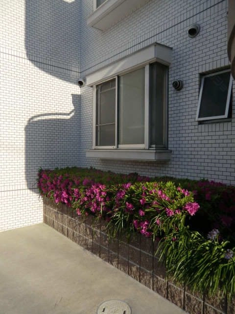 ガーデンエリア