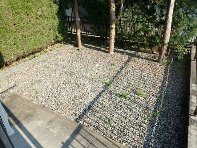 庭