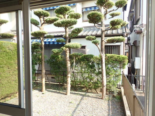 眺望