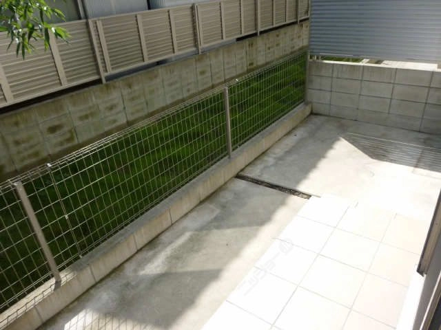 庭
