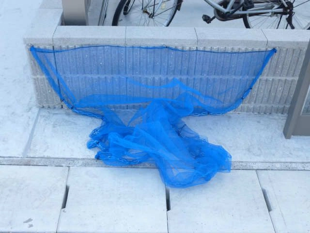 ごみ置き場
